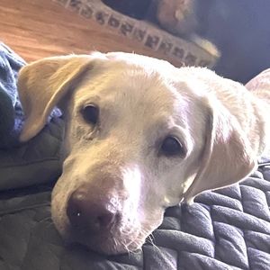 Meet your Posher, Darla